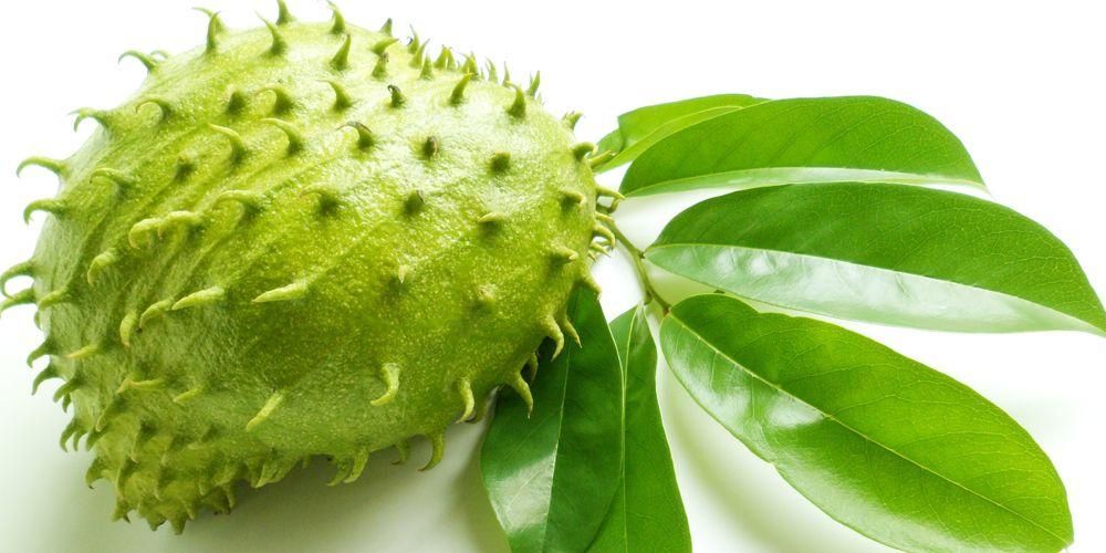 Trà Mãng Cầu An Duyên