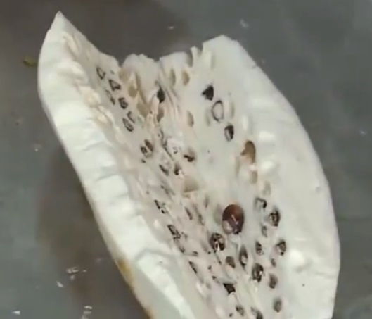 Trà Mãng Cầu An Duyên